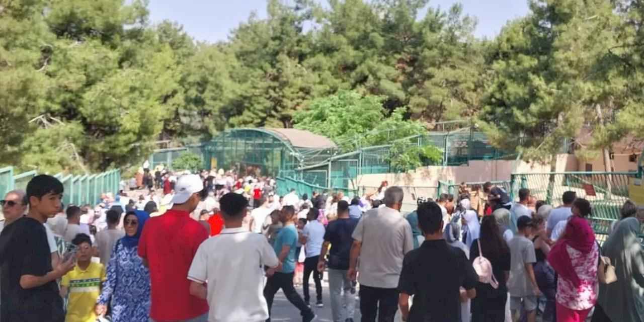 Gaziantep Doğal Yaşam Parkı 90 bin ziyaretçi ağırladı