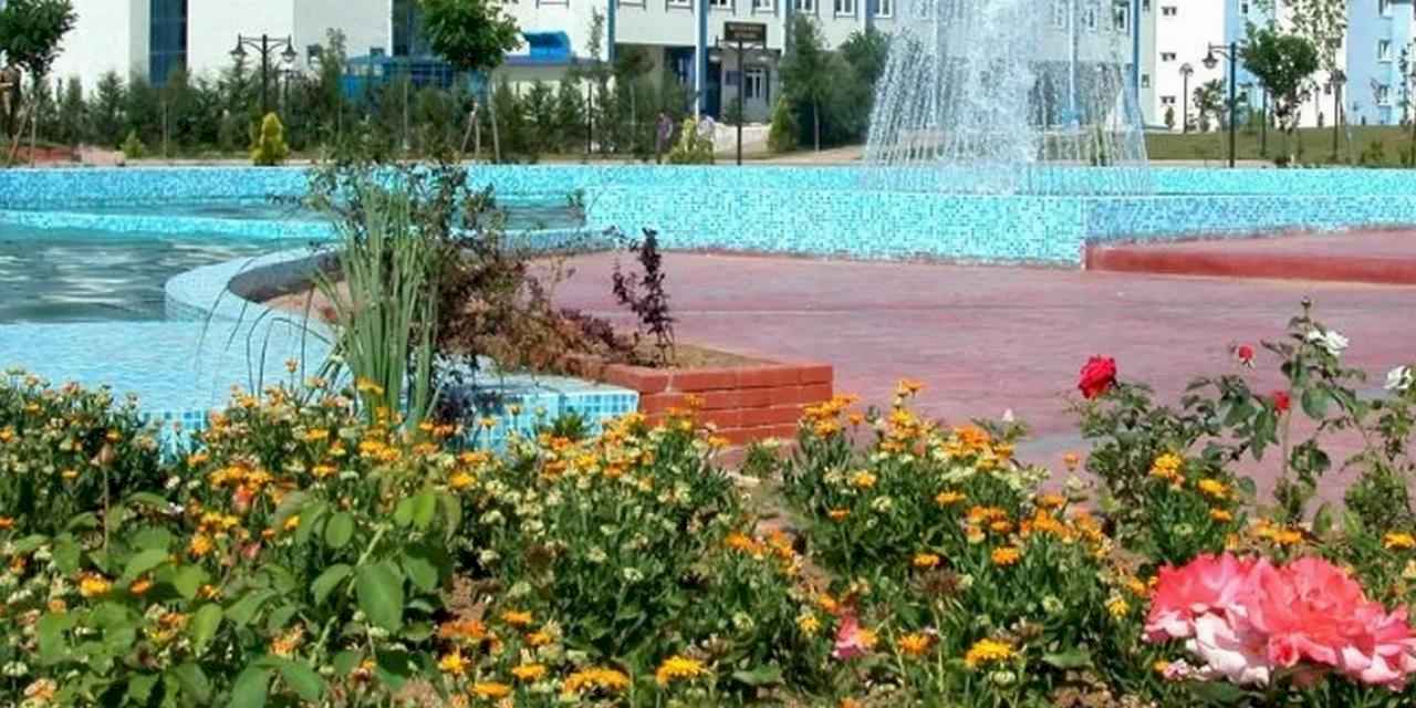 24. Uluslararası Sapanca Şiir Akşamları başlıyor