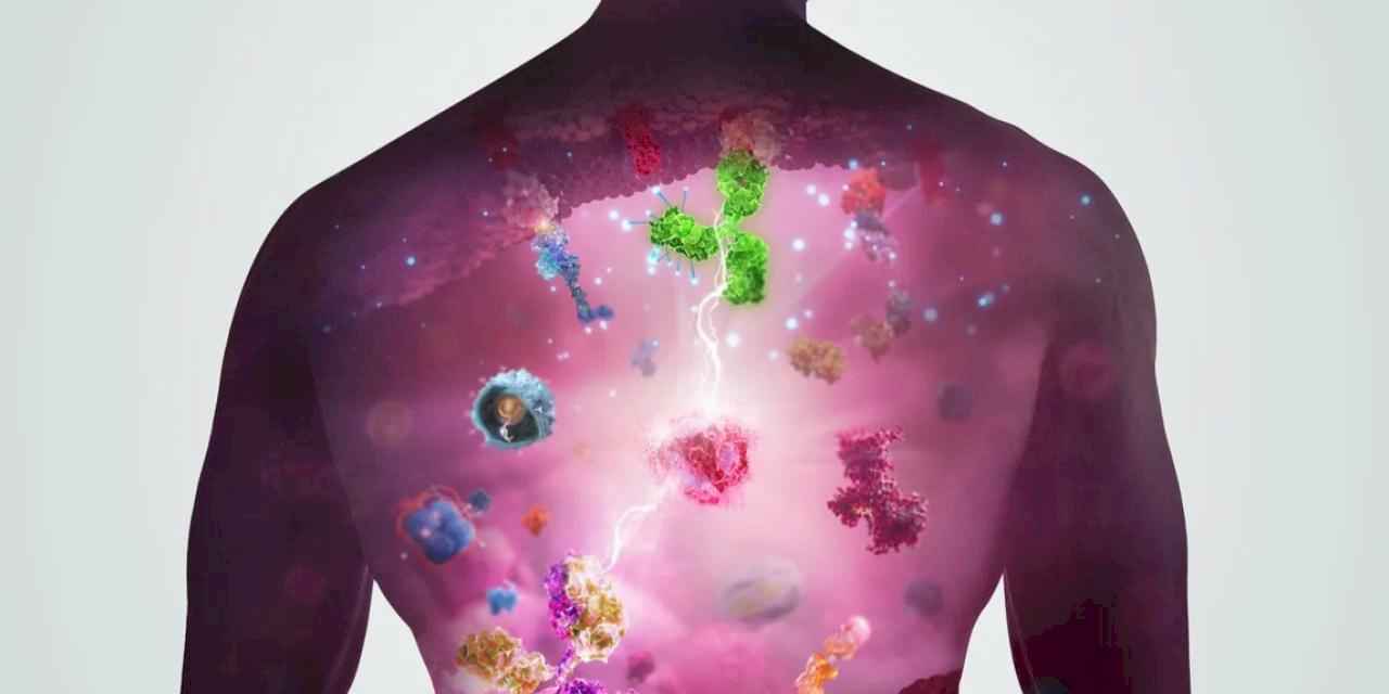 Akciğer kanserinde yapay zekâ ile erken teşhis