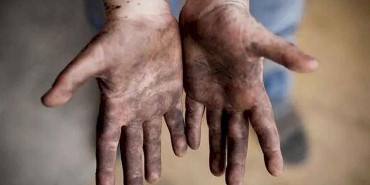 Çocuk işçiliğinde yüzde 50 azalma