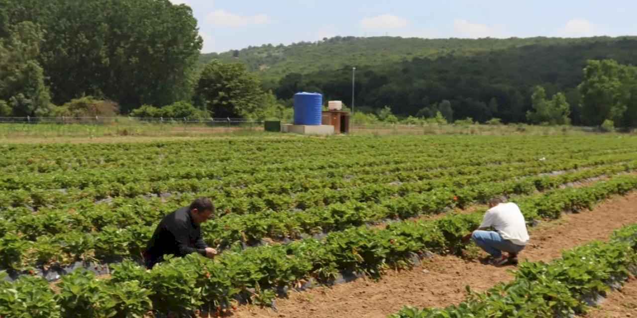 Kocaeli İzmit’te genç girişimcilere destek