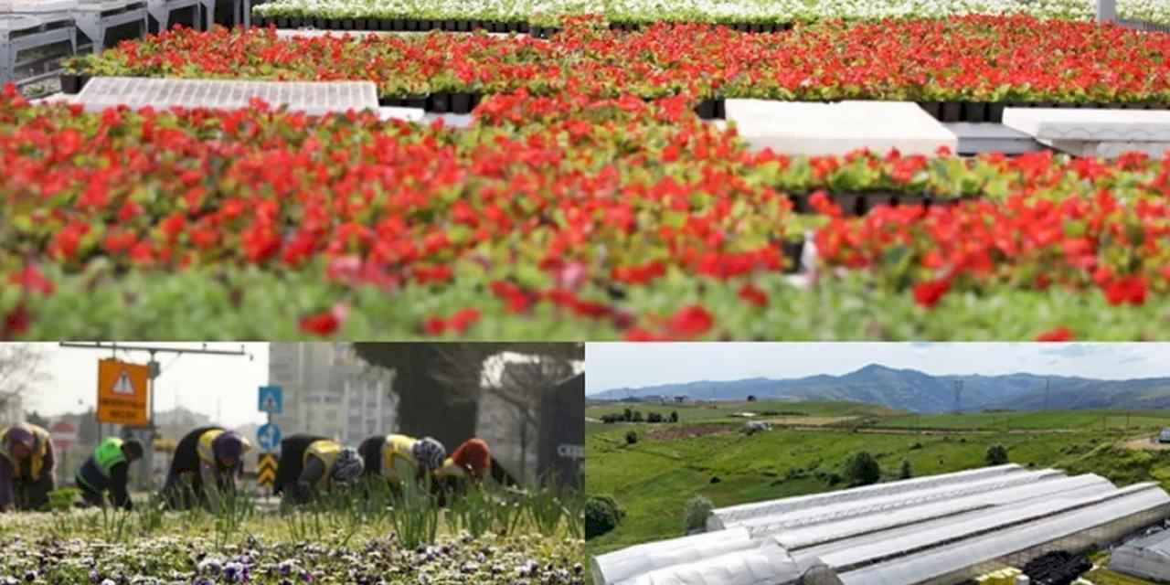 Çöpler çiçek oldu, şehri renklendirdi