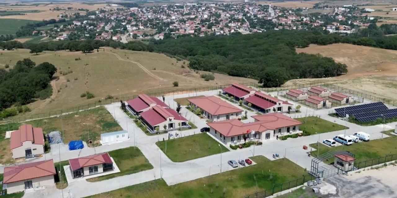 Tekirdağ'da belediye sahipsiz hayvanlara umut oluyor