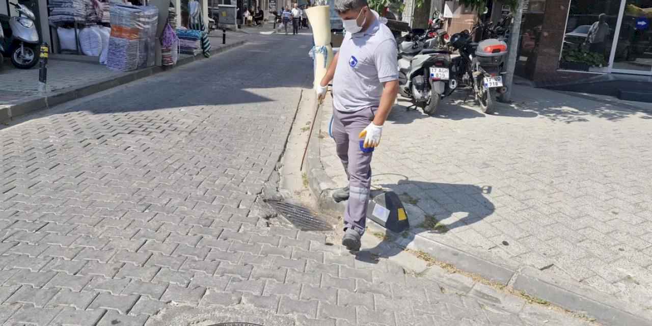 Çanakkale'de sinek alarmı