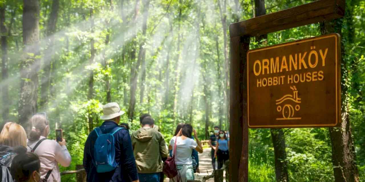 Ormanya’da yaz hazırlıkları tamam