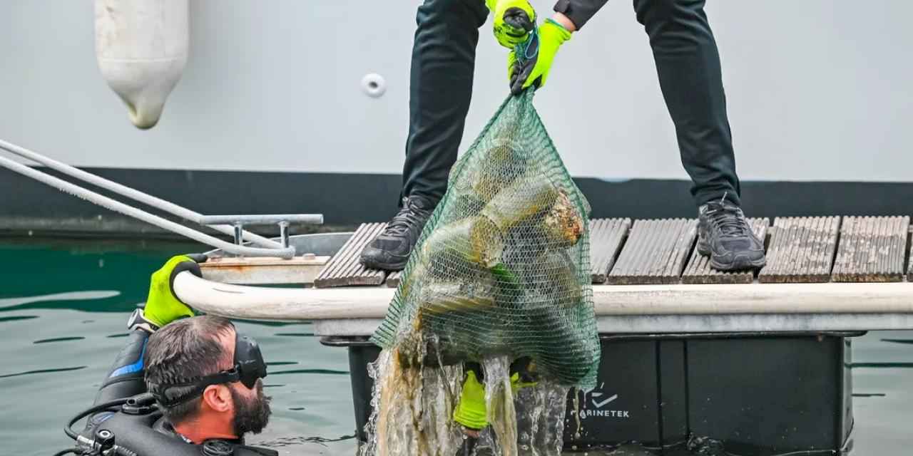 5 ton çöp toplandı, güneş enerjisi kullanımı arttı