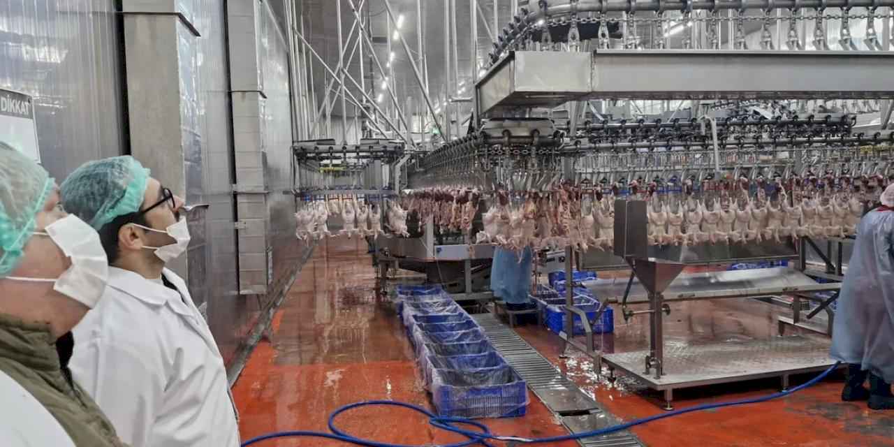 Sakarya’da kanatlı hayvan işletmelerine sıkı denetim