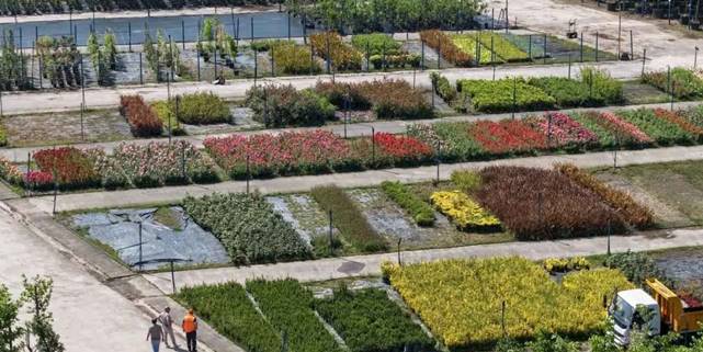 Kocaeli’yi yeşillendiren fidanlık