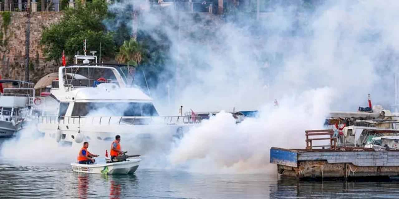 Antalya’nın her köşesinde vektörel mücadele