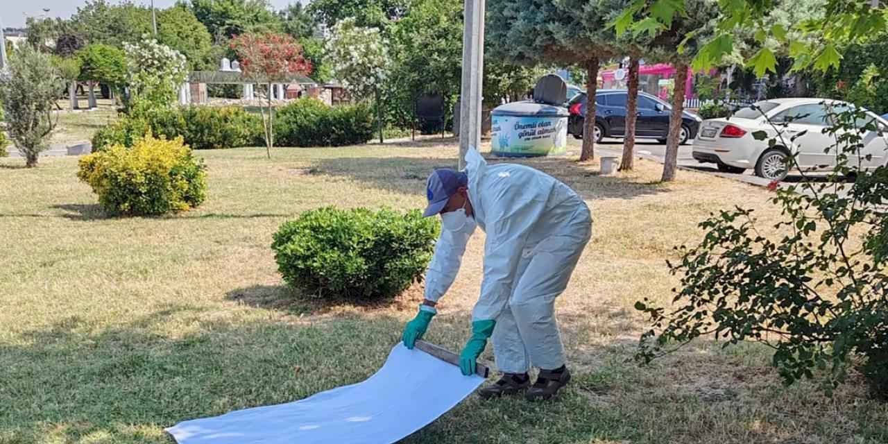 İstanbul Büyükşehir'den kene ile mücadele