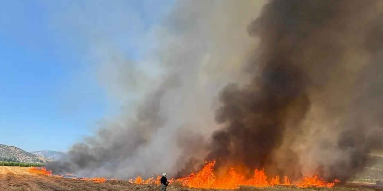 İzmir İtfaiyesi 48 saatte 220 yangına müdahale etti
