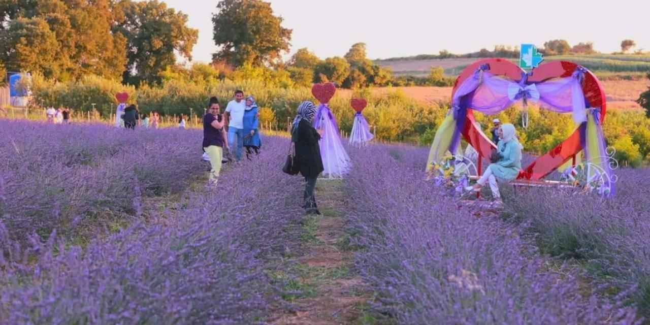 Lavanta kokusu İzmit’i saracak