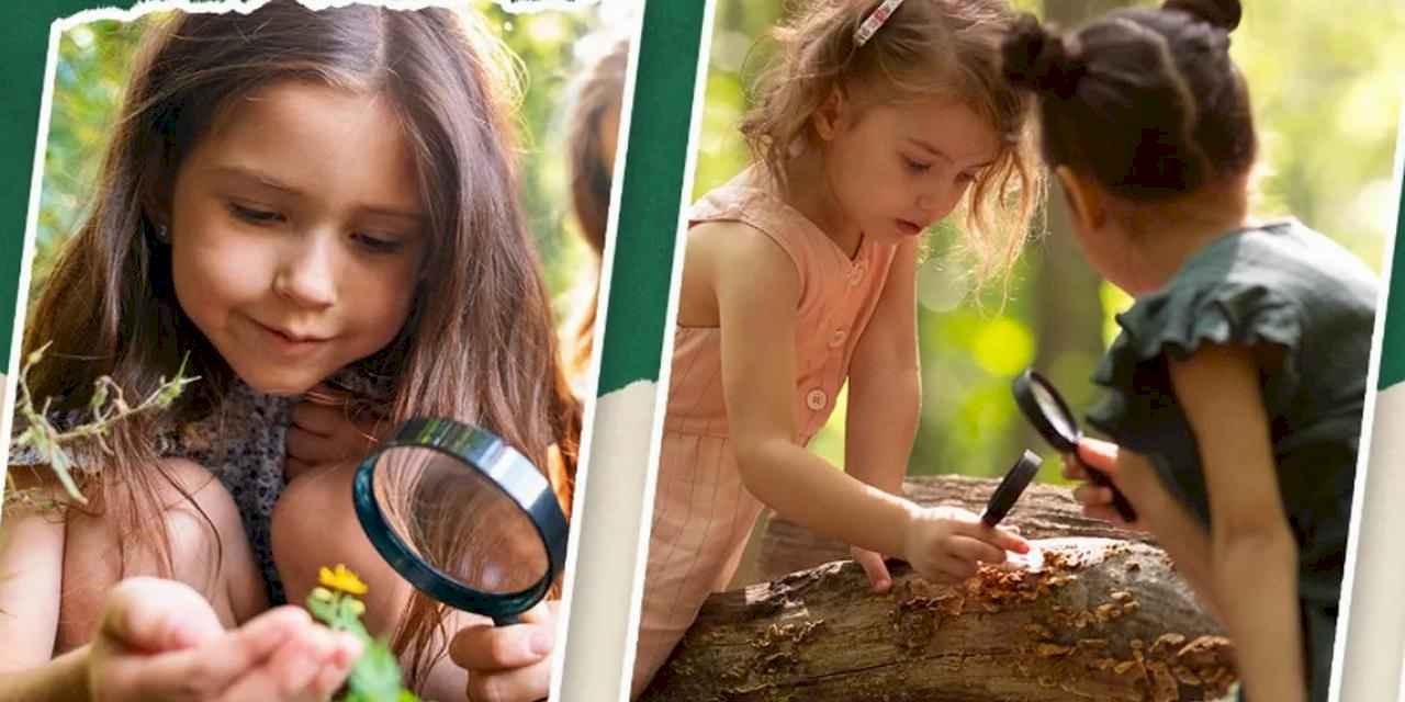 Kocaeli'de doğa ile iç içe eğitim fırsatı