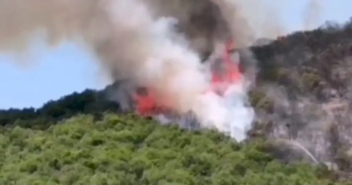 Bursa'da Yenişehirli çiftçilerden yangın seferberliği