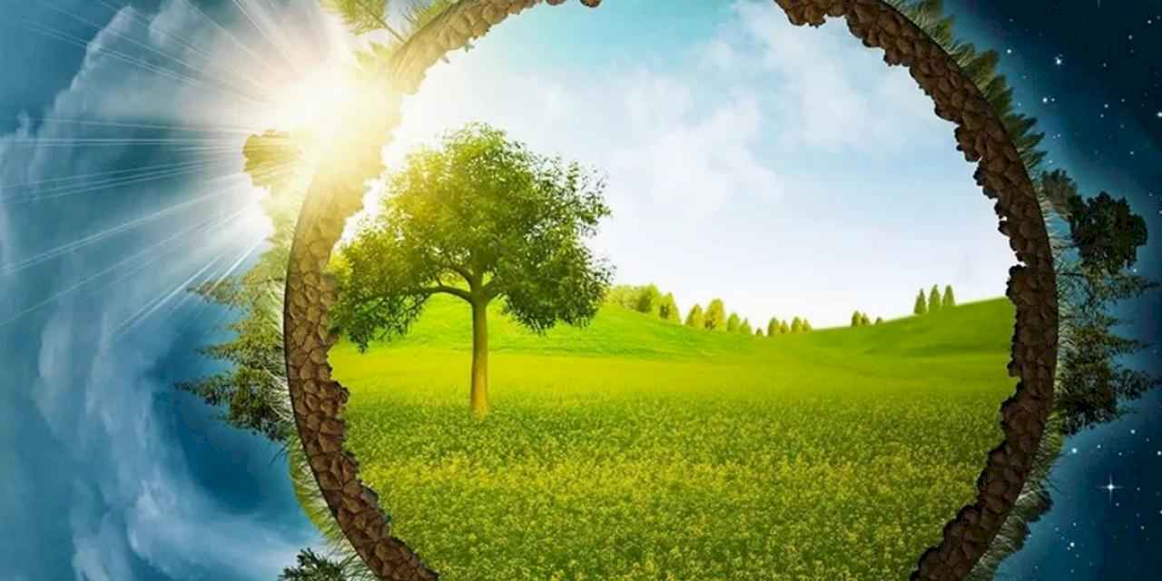 ÇED sürecinde yeni kriterler... Enerji ve madencilik projelerine yeni kurallar