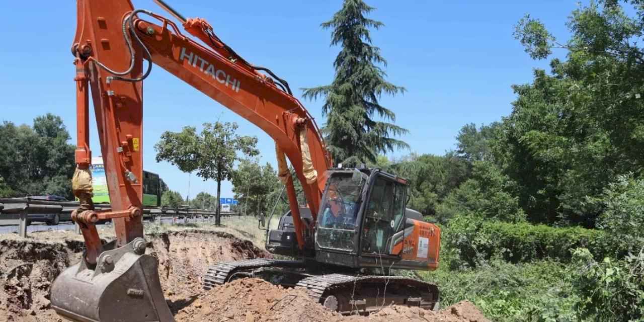 Kocaeli'de sökülen ağaçlar geleceğe taşınıyor
