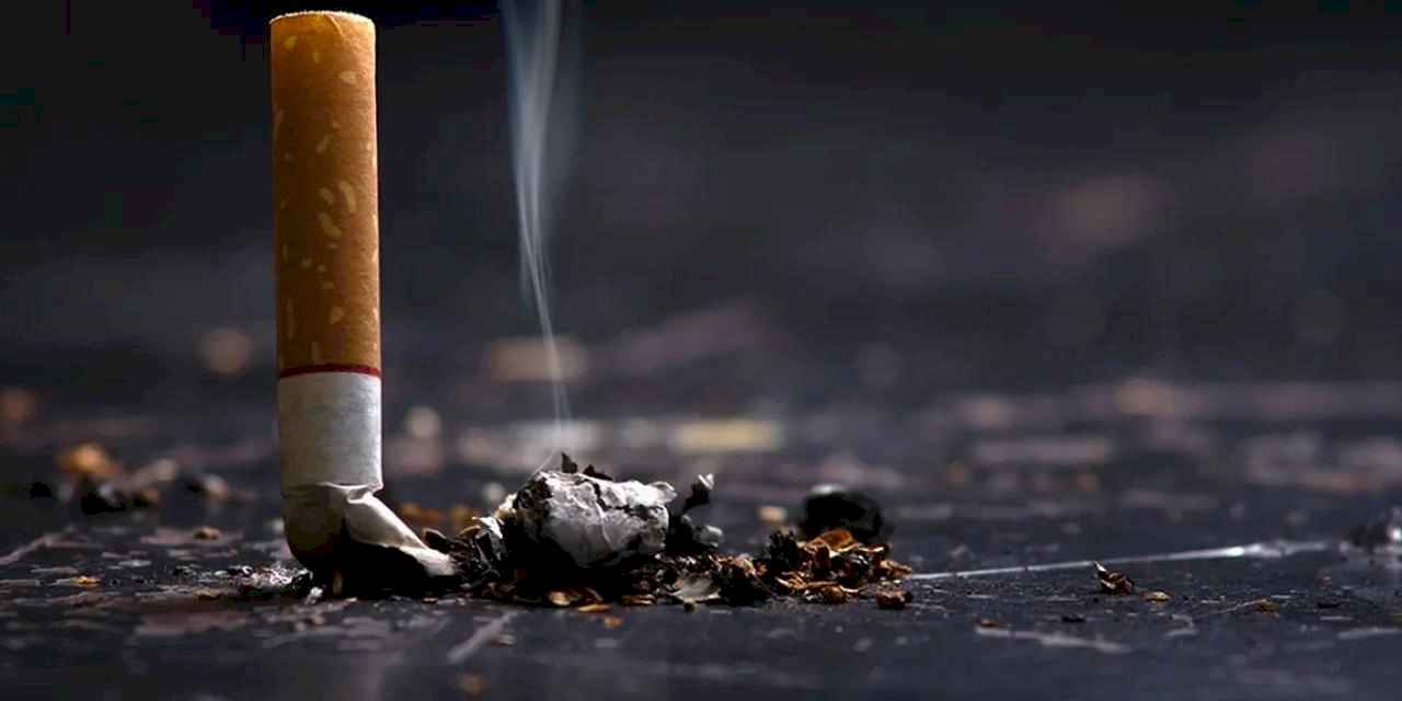 Yol kenarına atılan izmaritler yangına davetiye çıkarıyor