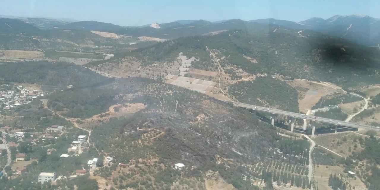 Bursa Osmangazi'de orman yangını hızlı müdahalelerle kontrol altına alındı