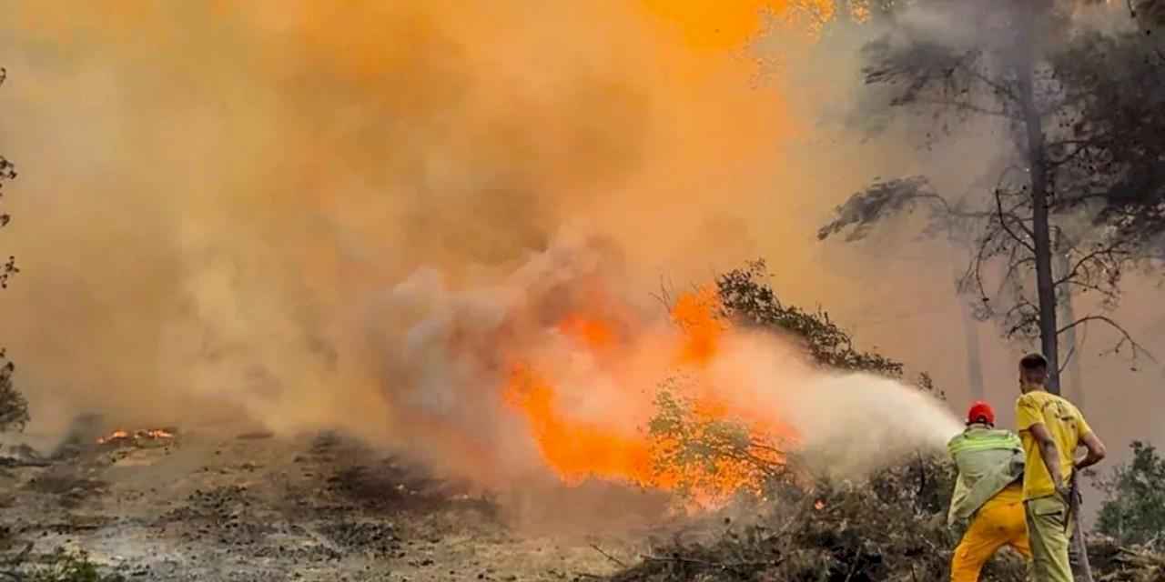 Türkiye'nin dört bir yanında orman yangınlarına karşı yoğun mücadele