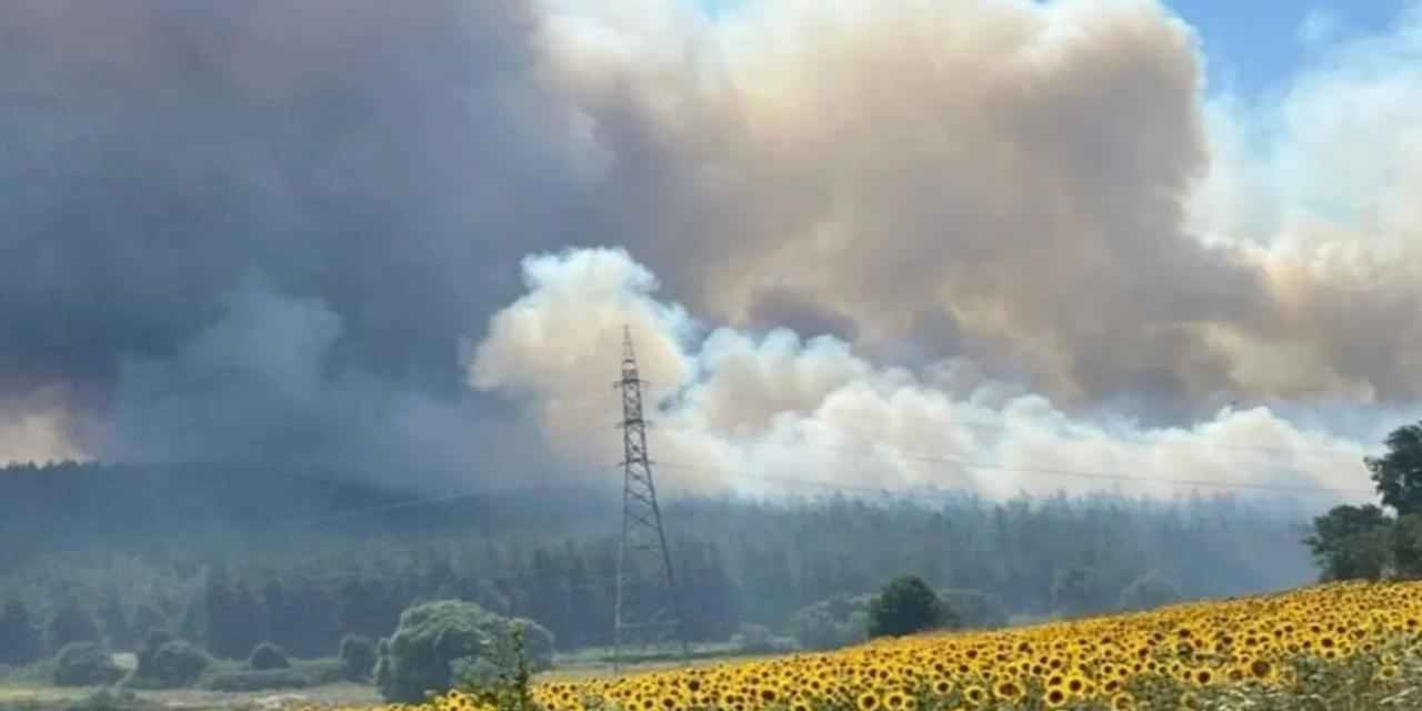 İki günde 113 noktada orman yangını çıktı