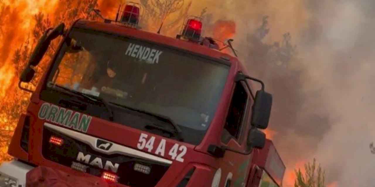 Orman'dan çağrı: 'Ormanın Kahramanları’na yol verin