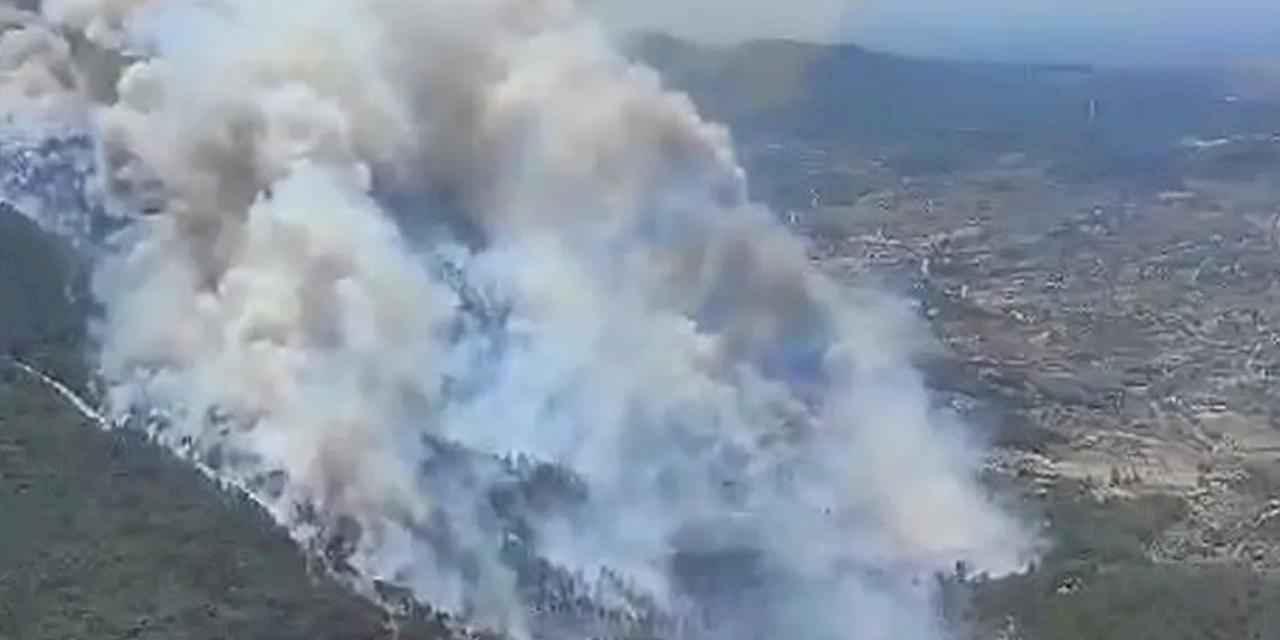 İzmir Menderes’te orman yangını... Havadan ve karadan müdahale sürüyor