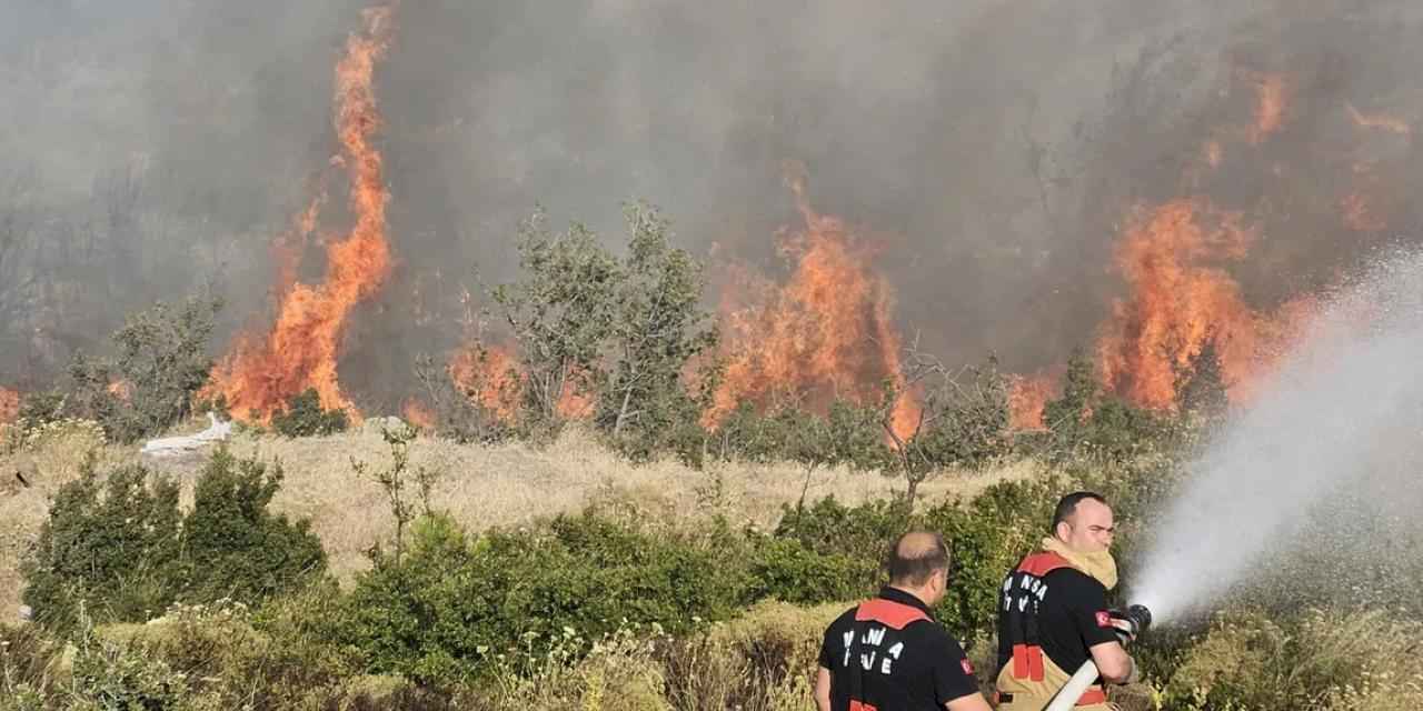 Manisa Büyükşehir Akhisar'daki yangın bölgesinde