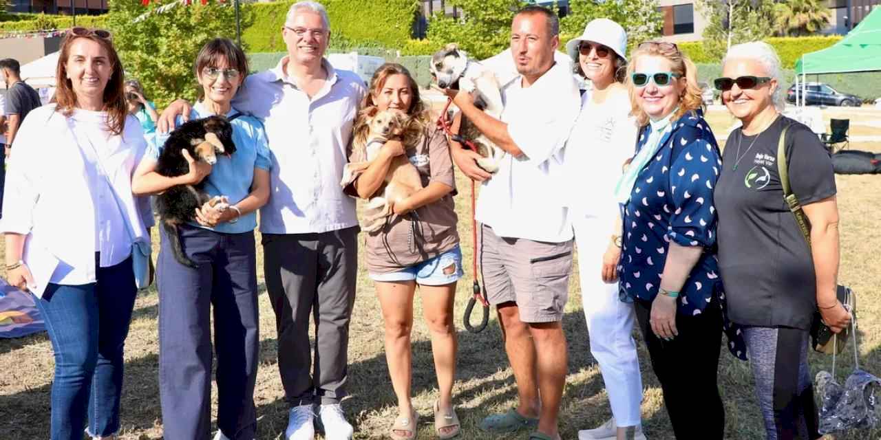 Mudanya Belediyesi 47 can dostu sahiplendirdi