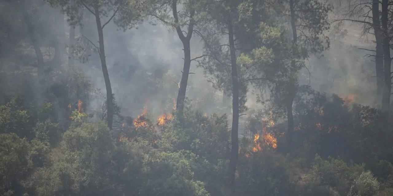 Seferihisar ve Menderes yangınlarının bilançosu ağır