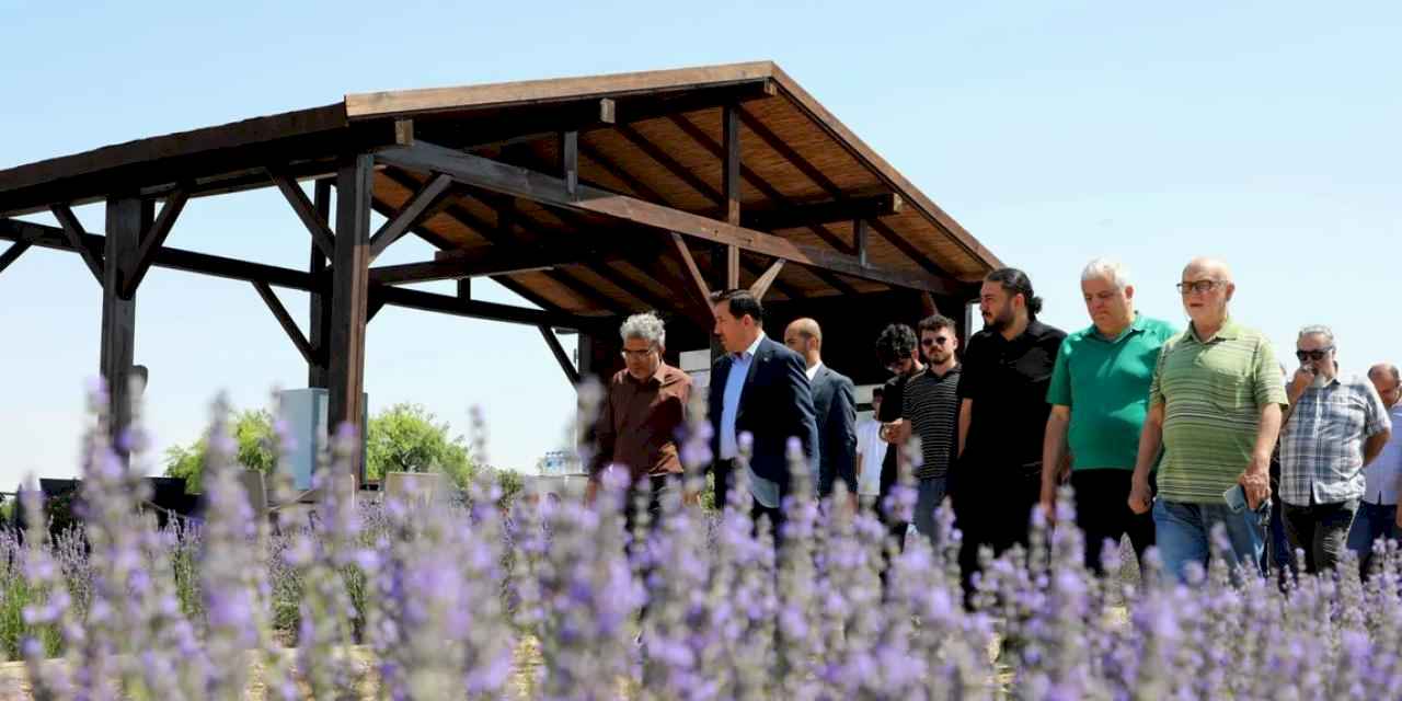 Konya Karatay Lavanta Bahçeleri'nde görsel şölen heyecanı