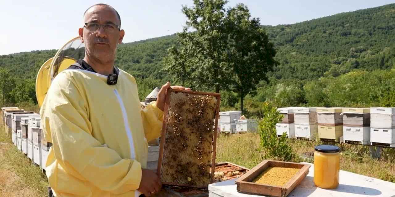 Coğrafi işaretli 'Yalova Kestane Balı' sofralarda parlıyor