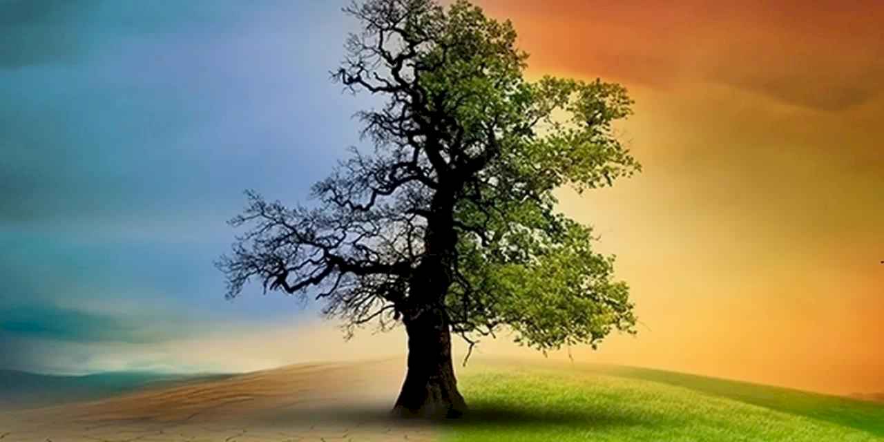 Türkiye’nin ilk İklim Kanunu TBMM’de yasalaştı