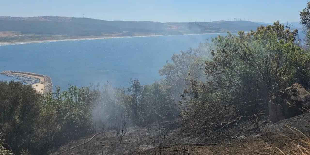 Mudanya kırsalında yangın! Buğday tarlası son anda kurtarıldı