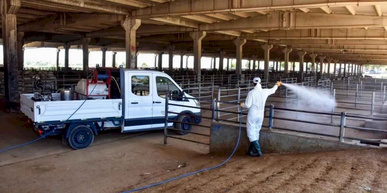 Diyarbakır'da Canlı Hayvan Borsası dezenfekte edildi