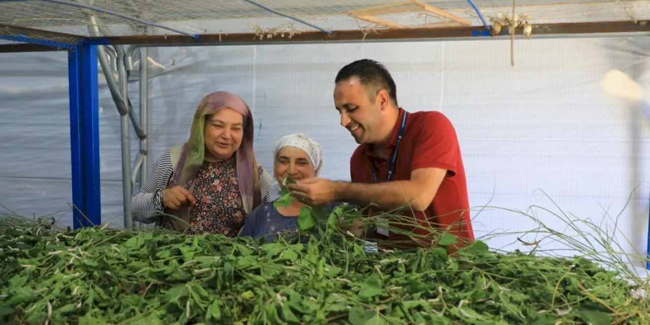 İpekböcekçiliği yeniden doğuyor! Ata mirasına modern dokunuş