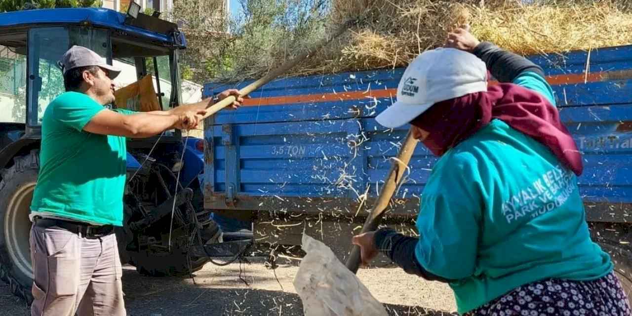 Balıkesir Ayvalık’ta güzellikler, emeğe değer veren insanlarla büyüyor