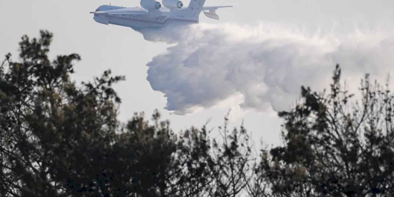 Orman yangınlarında adli soruşturma ve tutuklamalar sürüyor