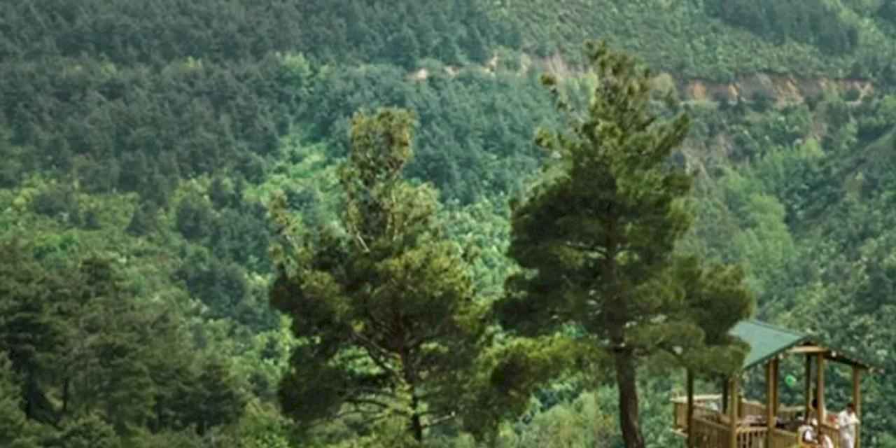 Bursa’da ormanlara giriş 15 Ekim'e kadar yasaklandı!