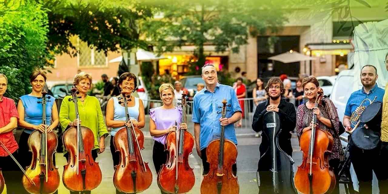 Zeytin Altında konserleri MAV Cello Ensemble ile başlıyor