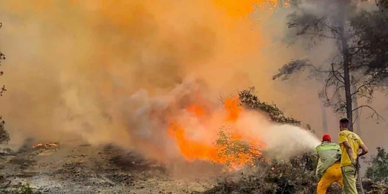 OGM: 86 milyonun dikkati şart!