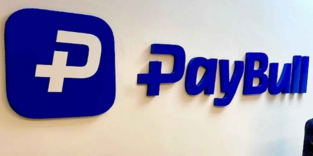 Paybull’un faaliyet izni iptal edildi