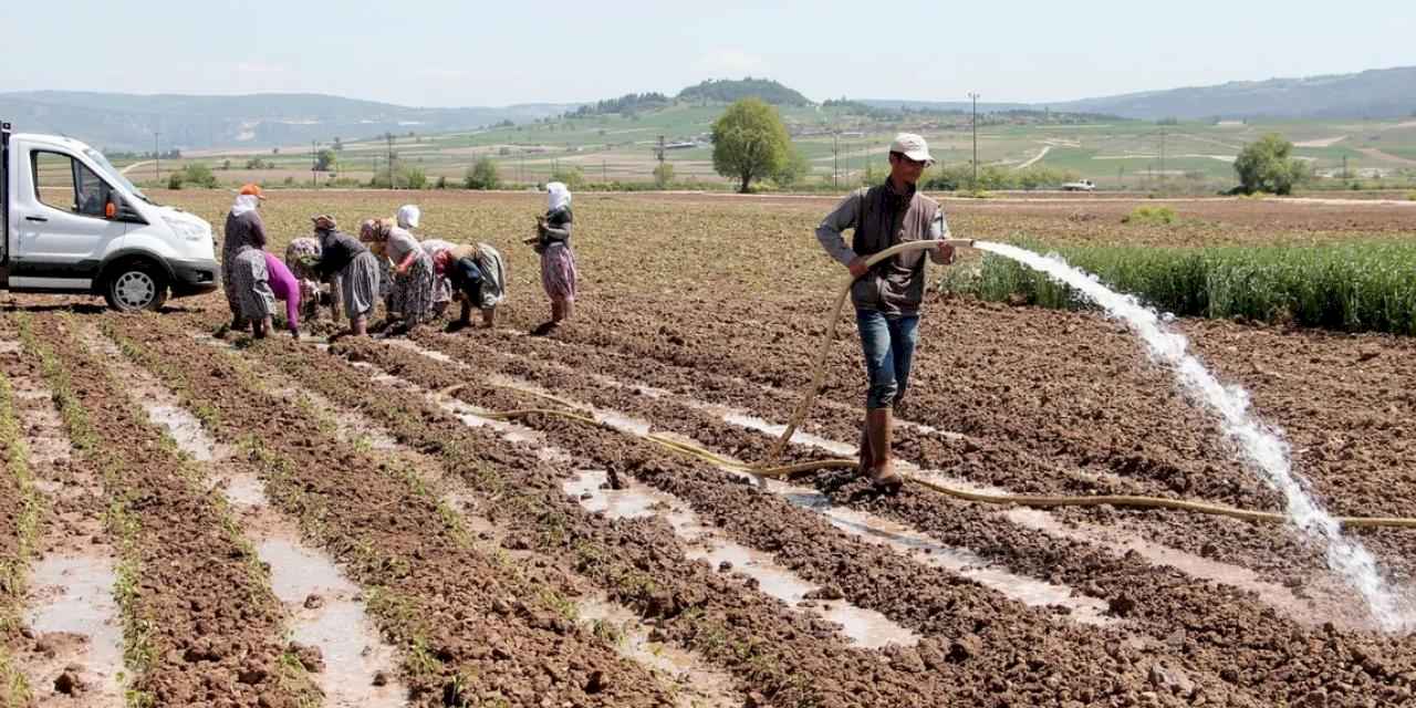 Bursa Yenişehir Ovası'ndan su krizi uyarısı! Yenişehir’de su seviyesi tehlikede!