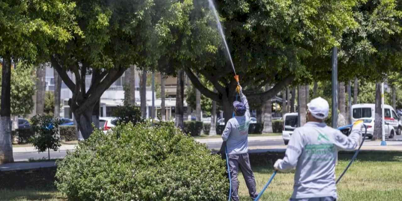 Mersin'de ilaçlama çalışmaları sürüyor