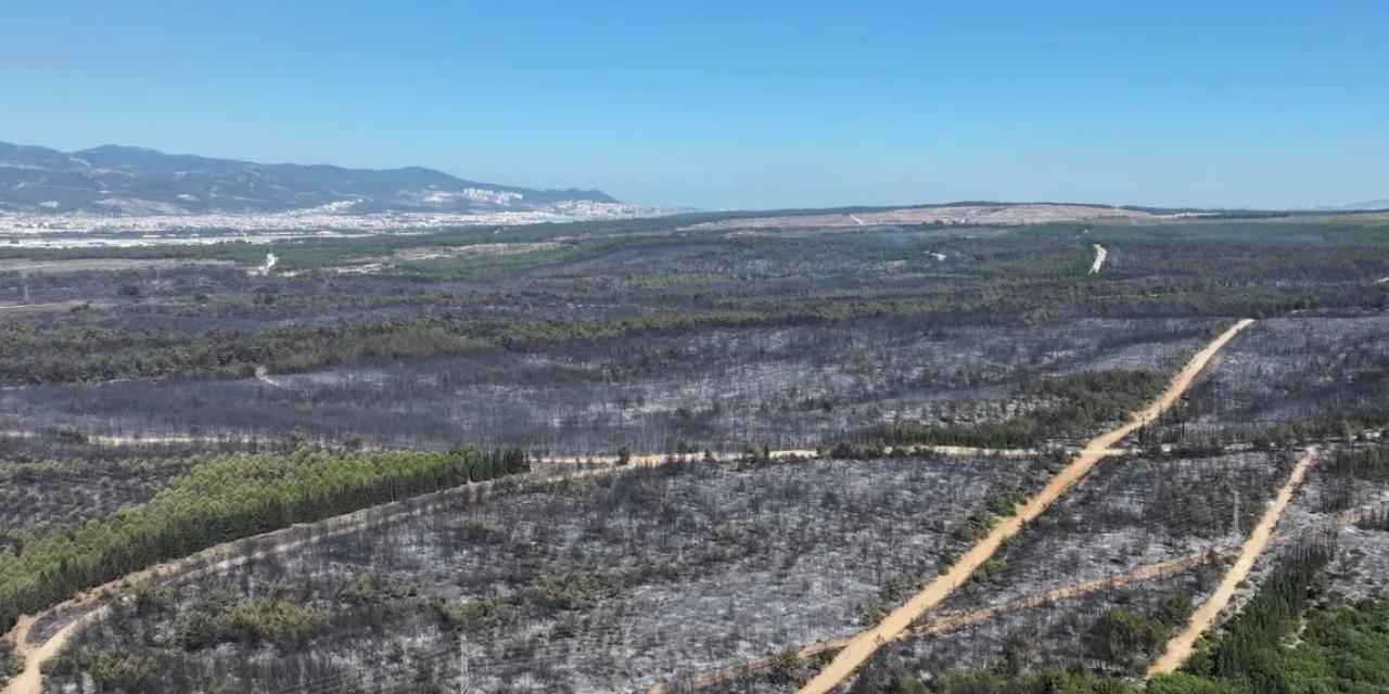 İzmir’de yangınlara karşı olağanüstü yol haritası belirlendi