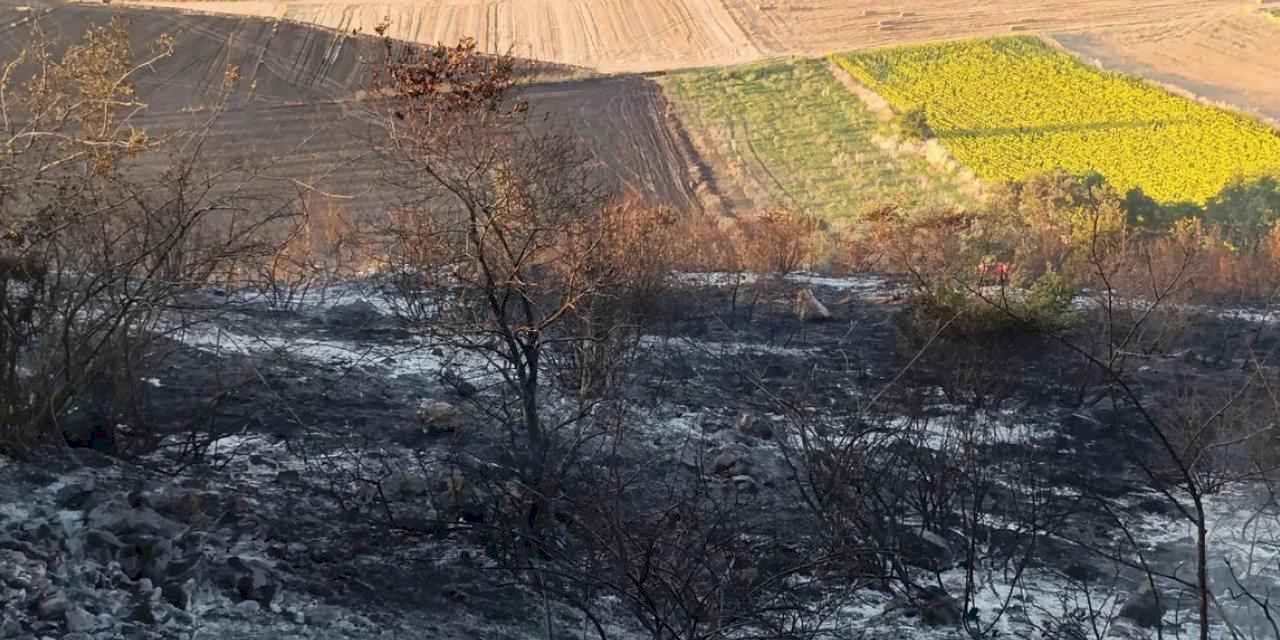 Bursa Karacabey’de orman yangını: 500 dönüm zarar gördü
