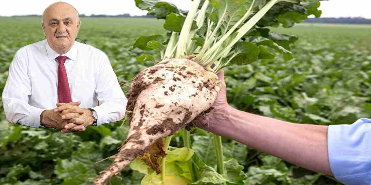 Pancar üreticisine 410 milyon TL sulama avansı desteği