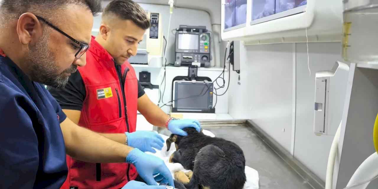 Konya İtfaiyesi’nden yürekleri ısıtan kurtarma operasyonu