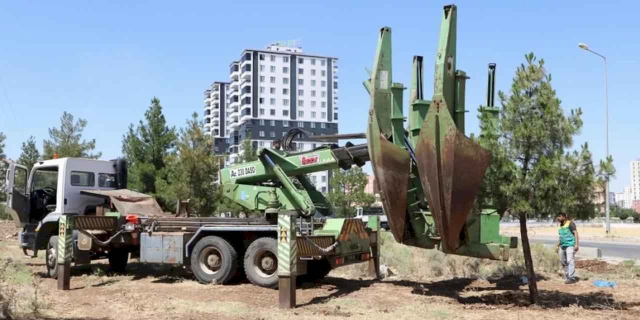 Diyarbakır'dan ağaçlara saygı duruşu