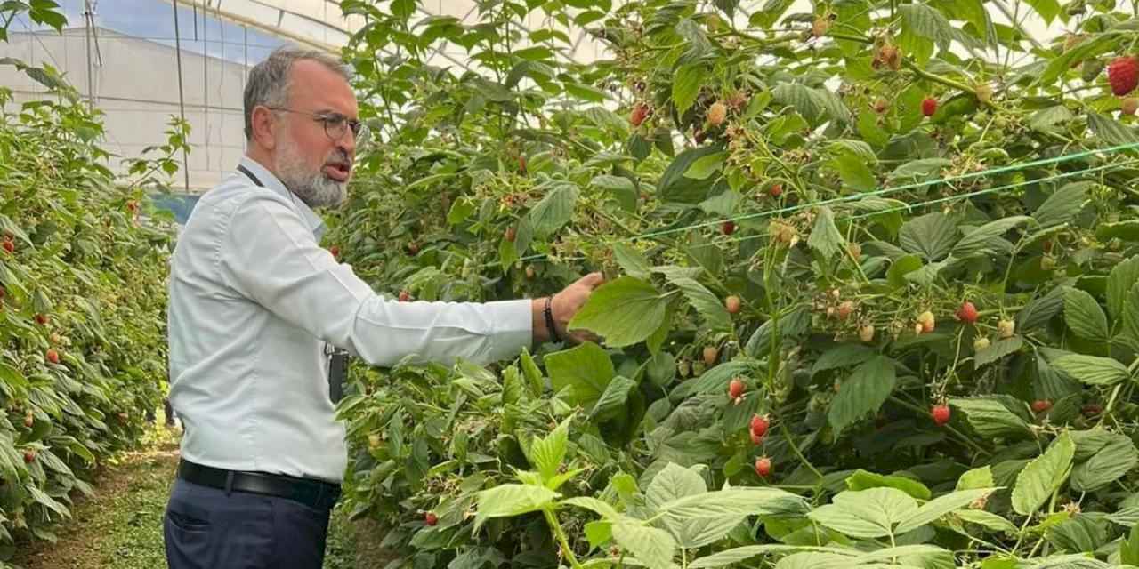 Bursa Kestel ve Gürsu’dan Sırbistan’a tarım çıkarması
