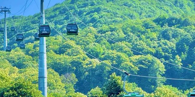 Kartepe Teleferik 15 Temmuz’da yüzde 50 indirimli